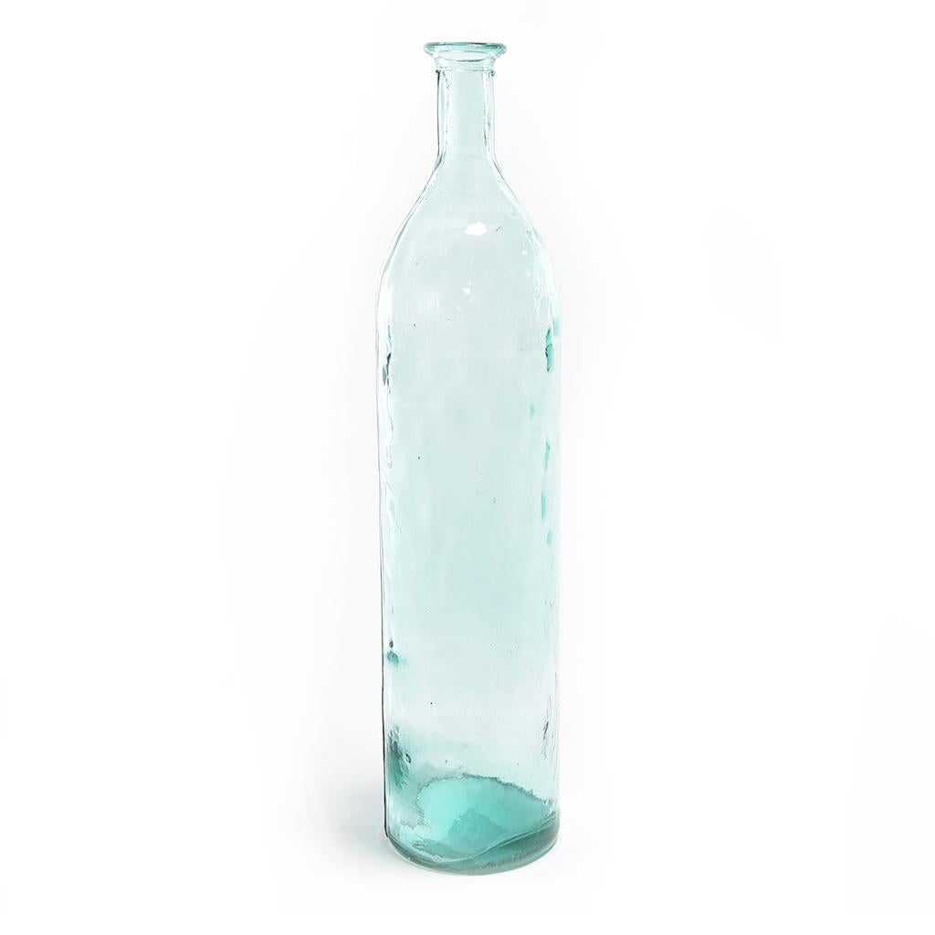 Syngonium idroponico in vaso design vetro