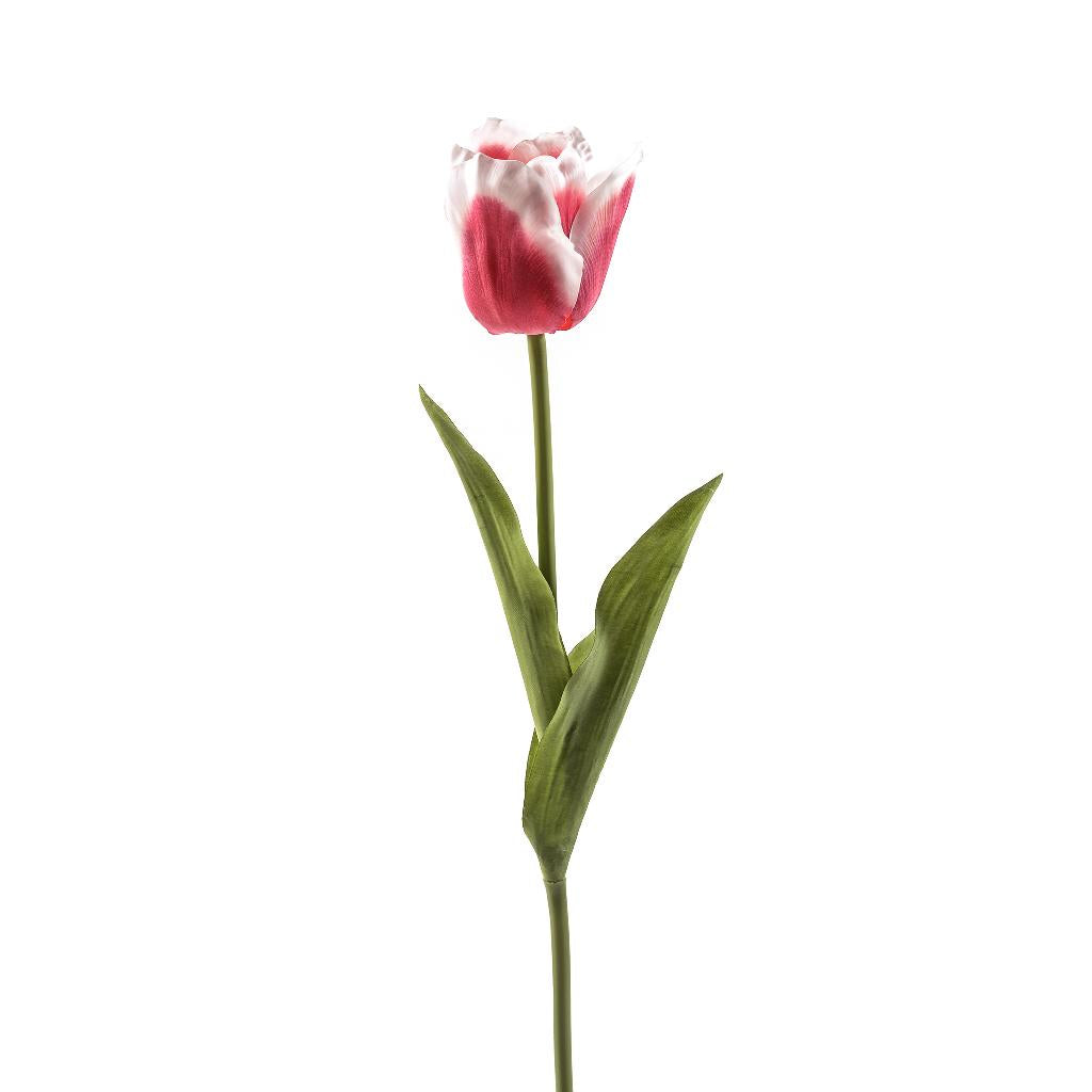 Klocke Tulipano Artificiale In Vaso, Altezza 26 Cm, Colore Crema Con Fiore Aperto, Realistico E Di Alta Qualità