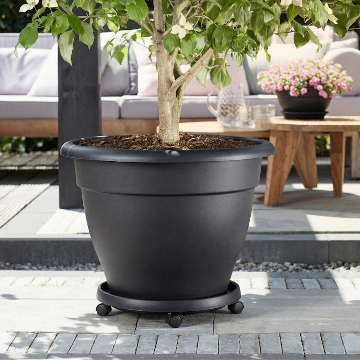QIAOH Piante Roller Sottovaso con Rotelle Diameter 33cm, Contenitori Rotondi per Piante, con Ruote Universali,Rotonda Mobili Robusti Supporto di Vasi da Fiori E Attrezzi da Giardino QIAOH Piante Roller Sottovaso con Rotelle Diameter 33cm, Contenitori Rotondi per Piante, con Ruote Universali,Rotonda Mobili Robusti Supporto di Vasi da Fiori E Attrezzi da Giardino