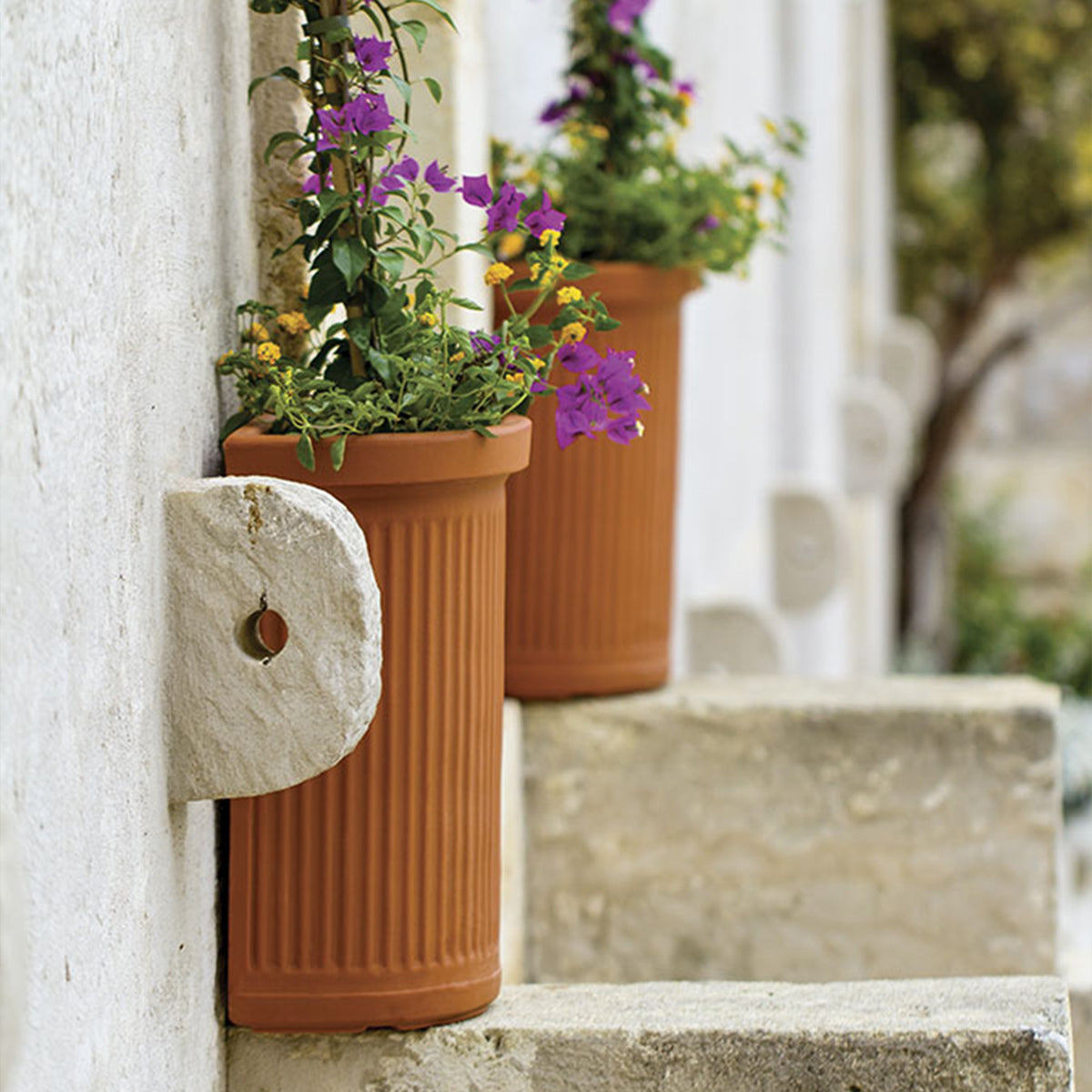 Vaso rotondo in terracotta - | Ecom