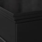 immagine-5-divina-fire-divina-fire-camino-a-bioetanolo-washington-nero-111x43x99-ean-8056157804109