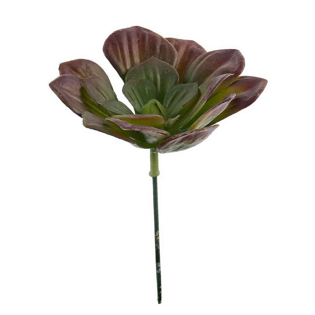 1* Piece Artificial Plant Artifical Plastic Succulent Plant Cactus - Foto 6