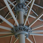 1594901603_OM807122_4-1