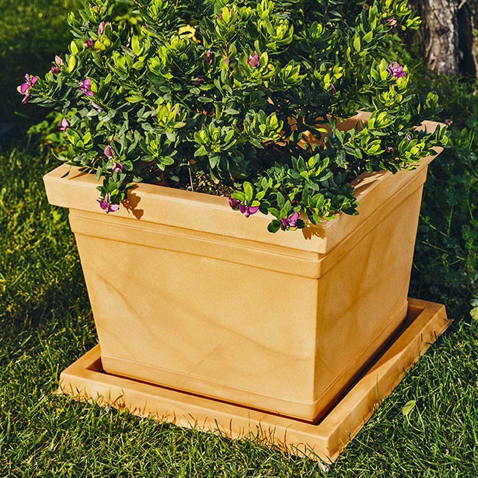 Vaso Quadrato In Plastica Resistente - Colore Terracotta, Con Fori Di Drenaggio - Prodotto In UE, Per Interni/Esterni