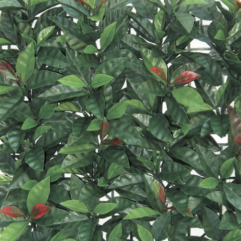 VERDELOOK Prato Artificiale Sempreverde 1x2,5 M, Erba Sintetica Spessore 35 Mm, Per Giardino, Balcone, Terrazzo, Facile Da Installare - 2