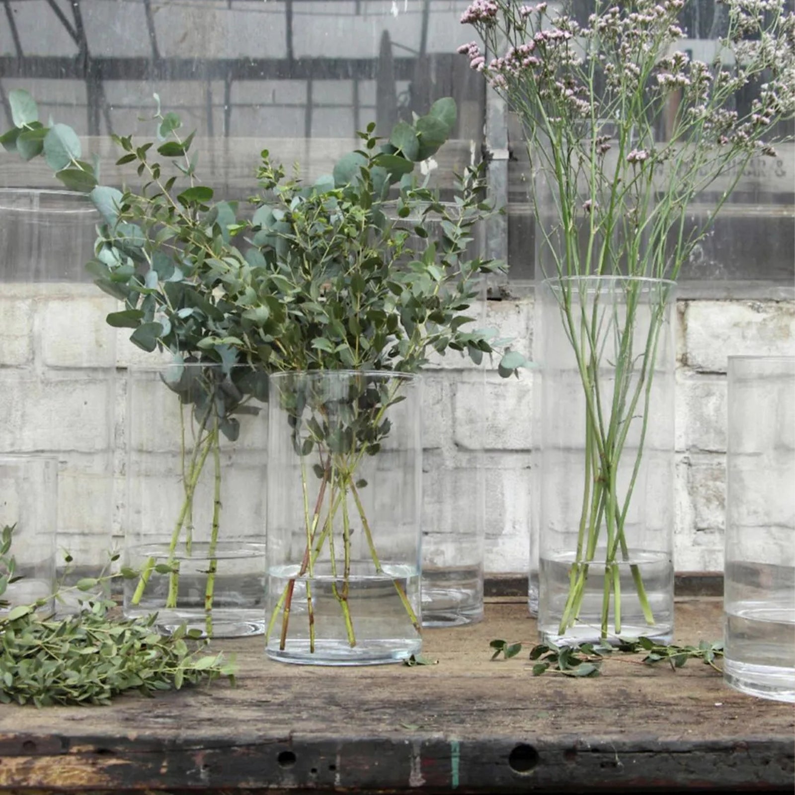Vaso in vetro di forma cilindrica trasparente per fiori, acqua e piante