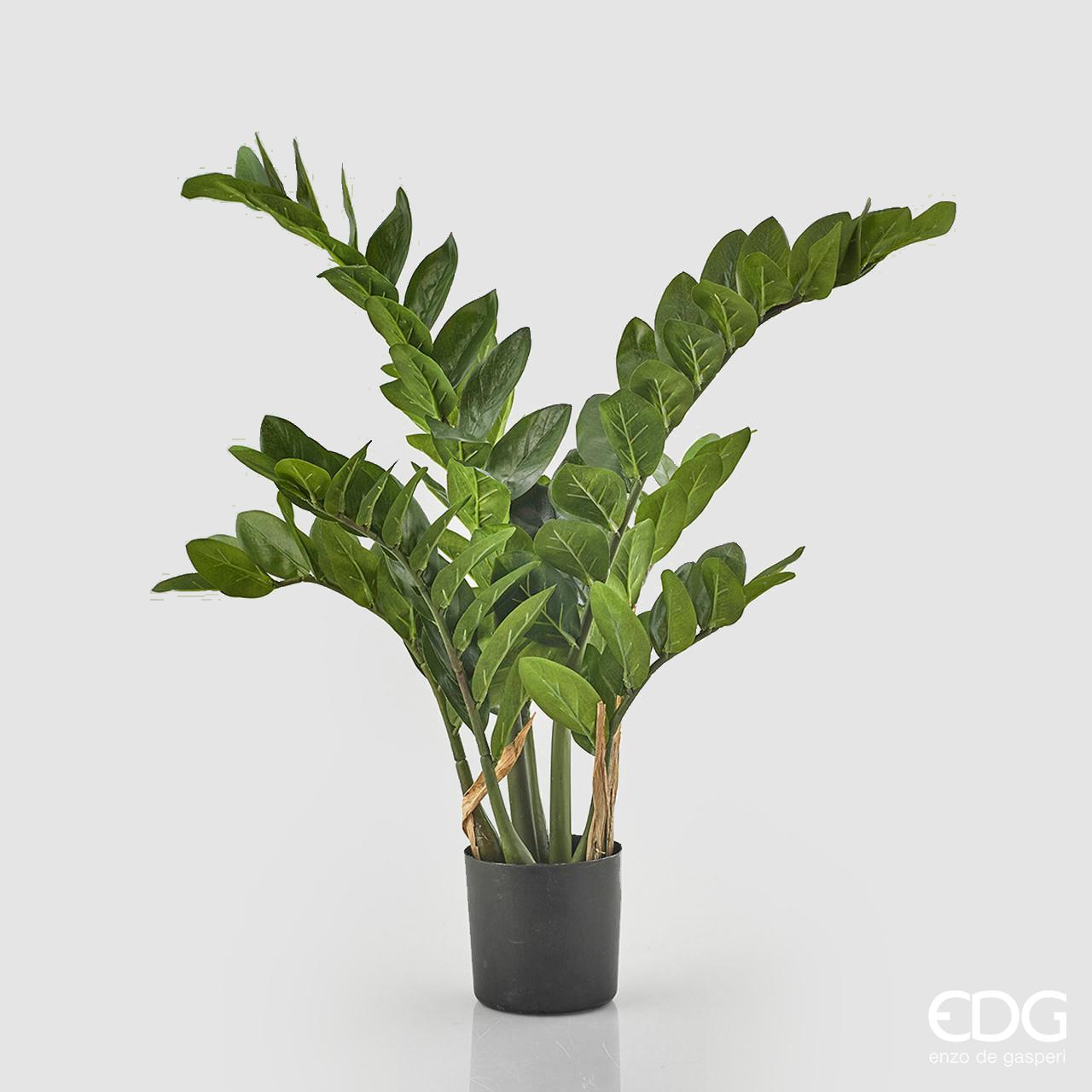 Pianta Artificiale decorativa da interno ed esterno Zamifolia con va –