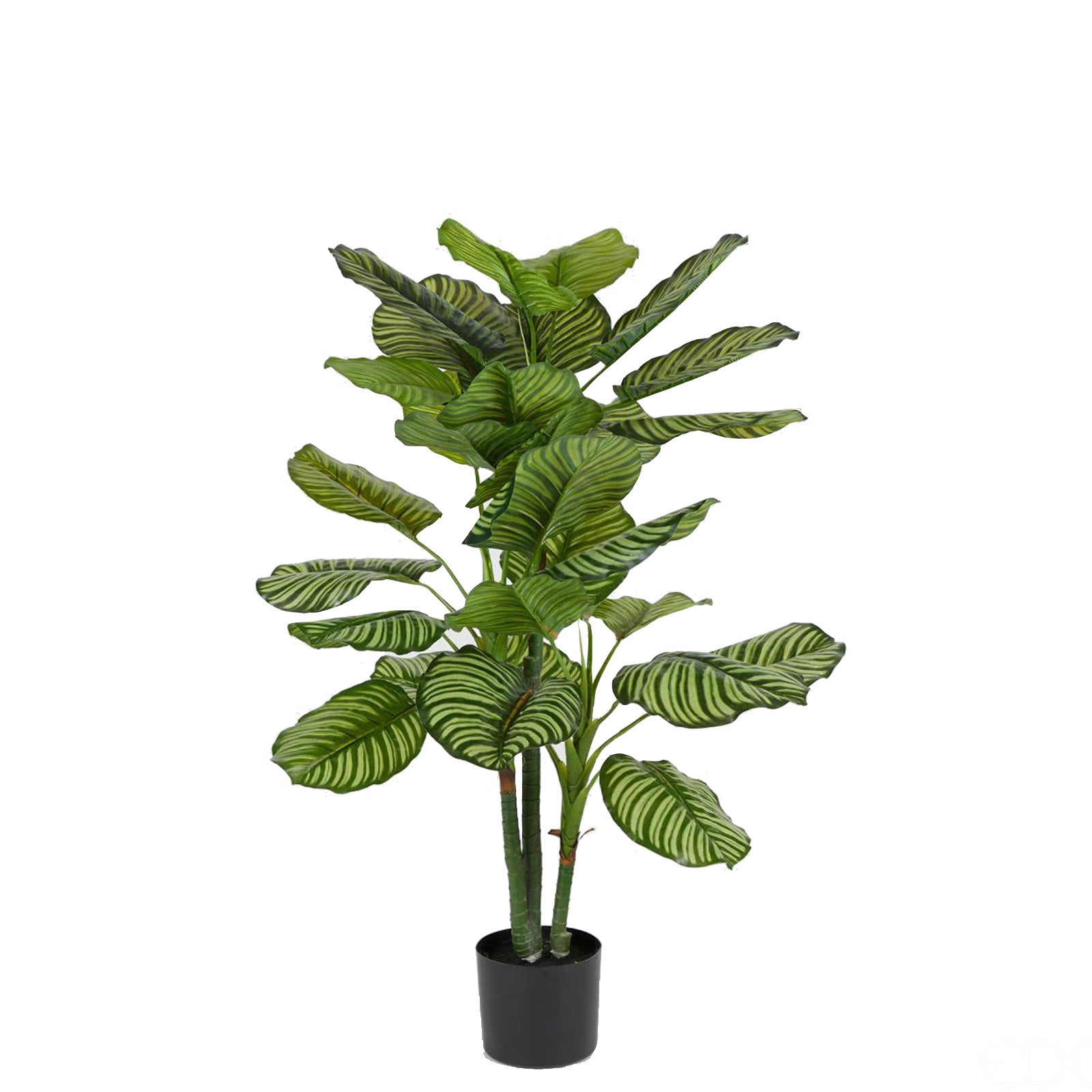 Pianta Artificiale da interno ed esterno Calathea Bell con vaso